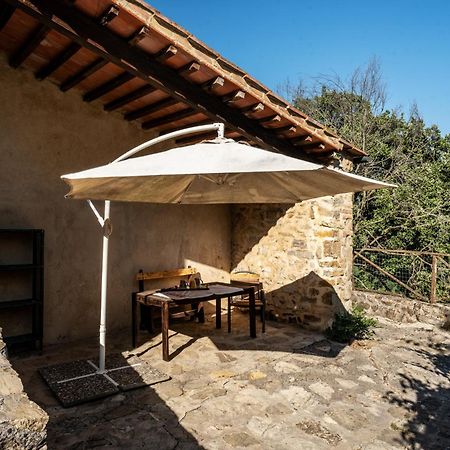 קסטלנובו די ואל די צ'צ'ינה Agriturismo Santa Caterina מראה חיצוני תמונה