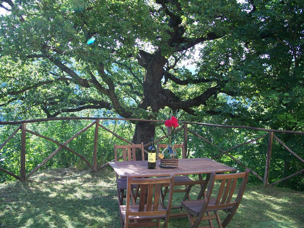 קסטלנובו די ואל די צ'צ'ינה Agriturismo Santa Caterina מראה חיצוני תמונה