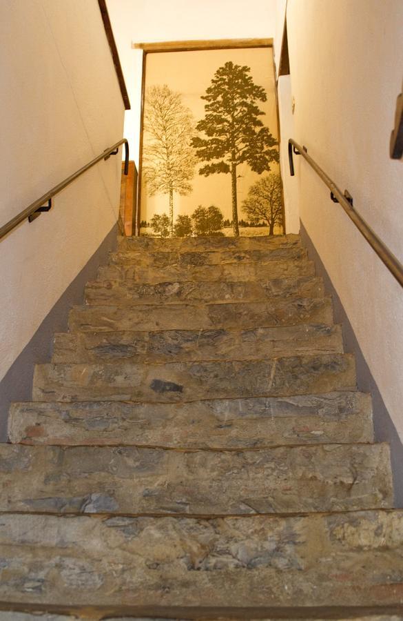 קסטלנובו די ואל די צ'צ'ינה Agriturismo Santa Caterina חדר תמונה